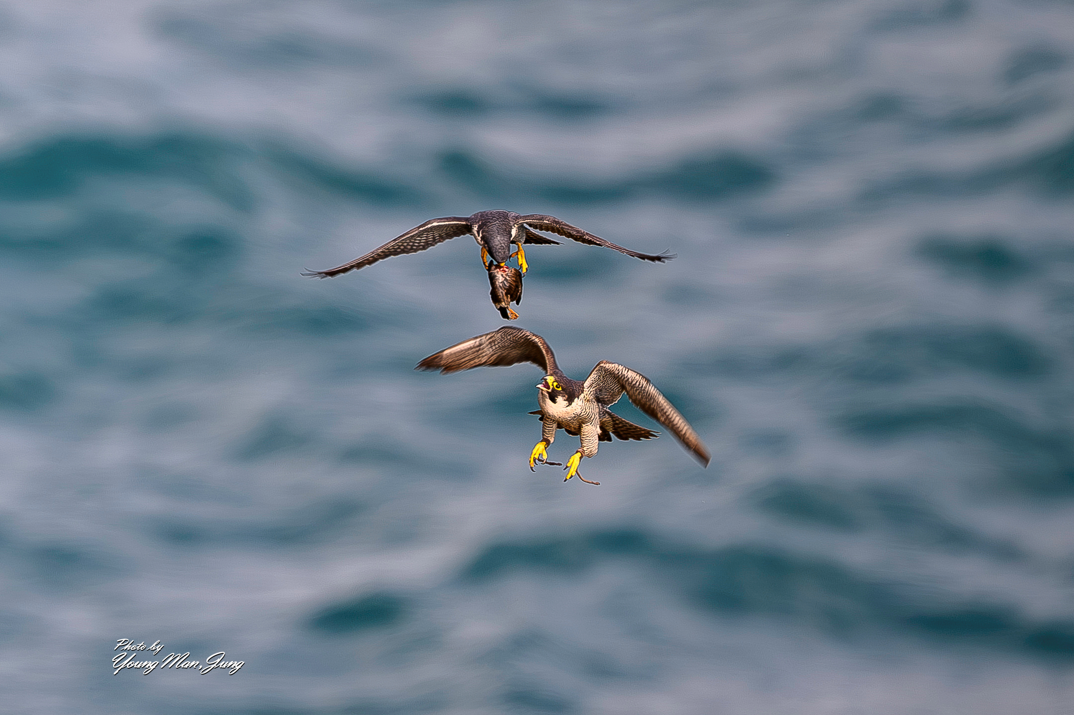 | PHOTO BY : 카파/정영만  |