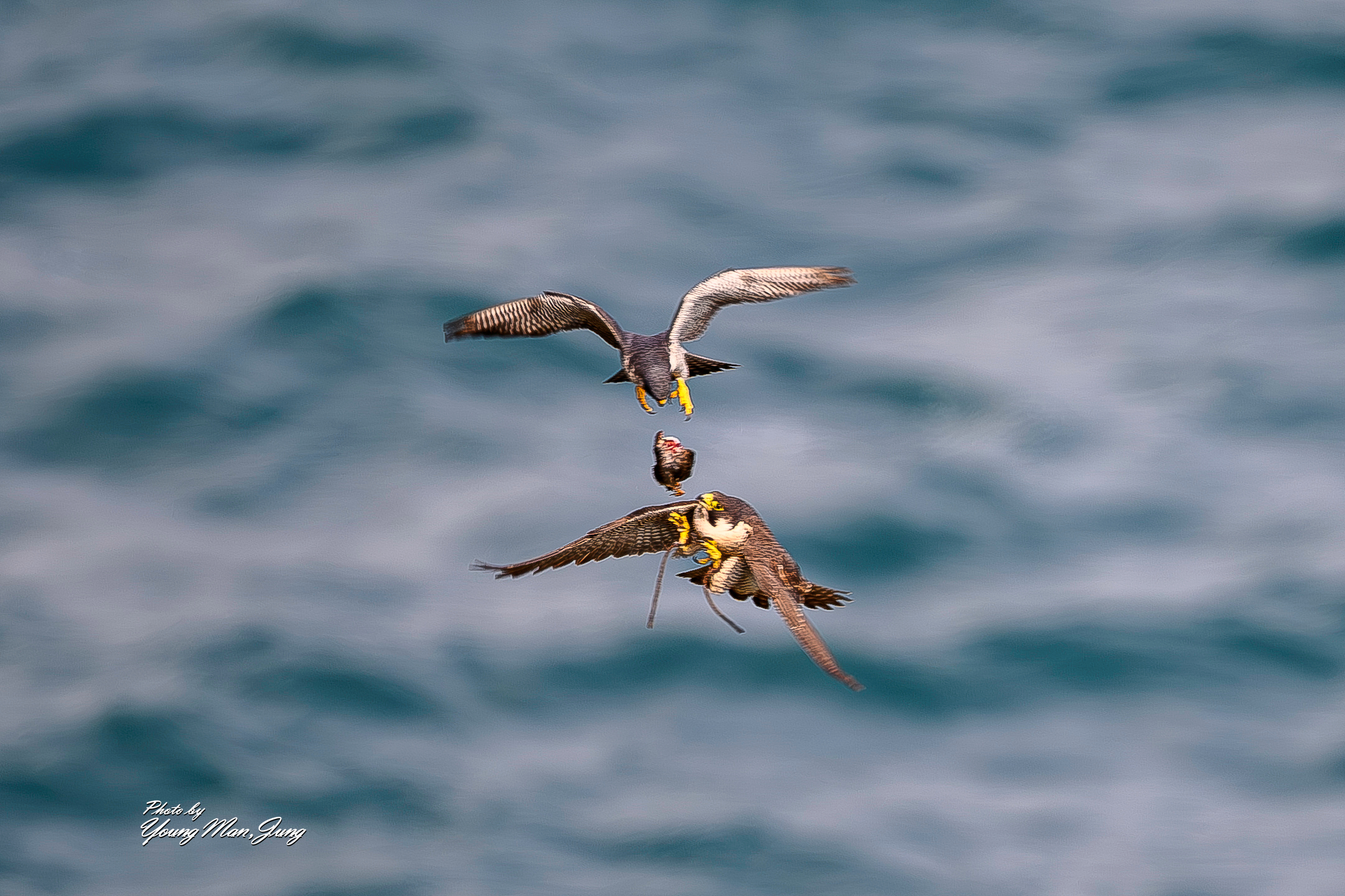 | PHOTO BY : 카파/정영만  |