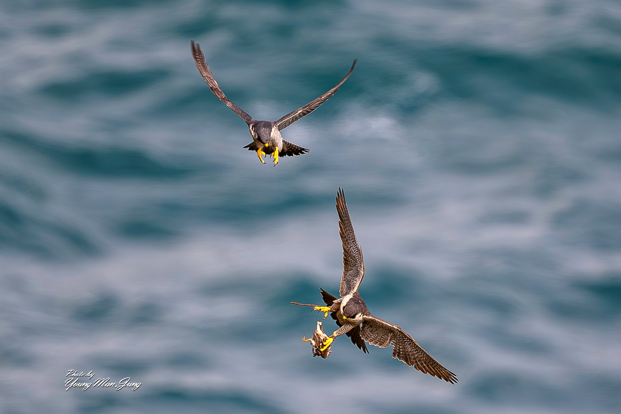 | PHOTO BY : 카파/정영만  |