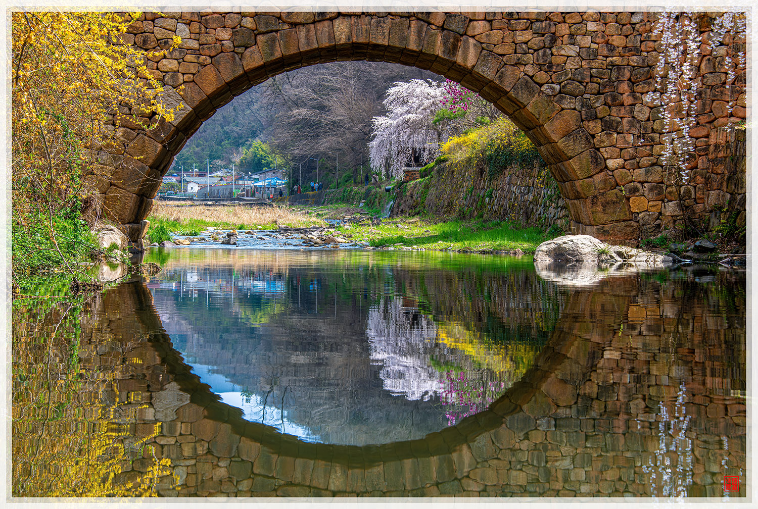 PHOTO BY  | NIKON D850 | 2024:03:31 11:18:04 | ISO-100 | 1/60 sec | f 13 | 85 mm | EV=-0.3 | ● WIDTH:1500 pixels  HEIGHT:1008 pixels