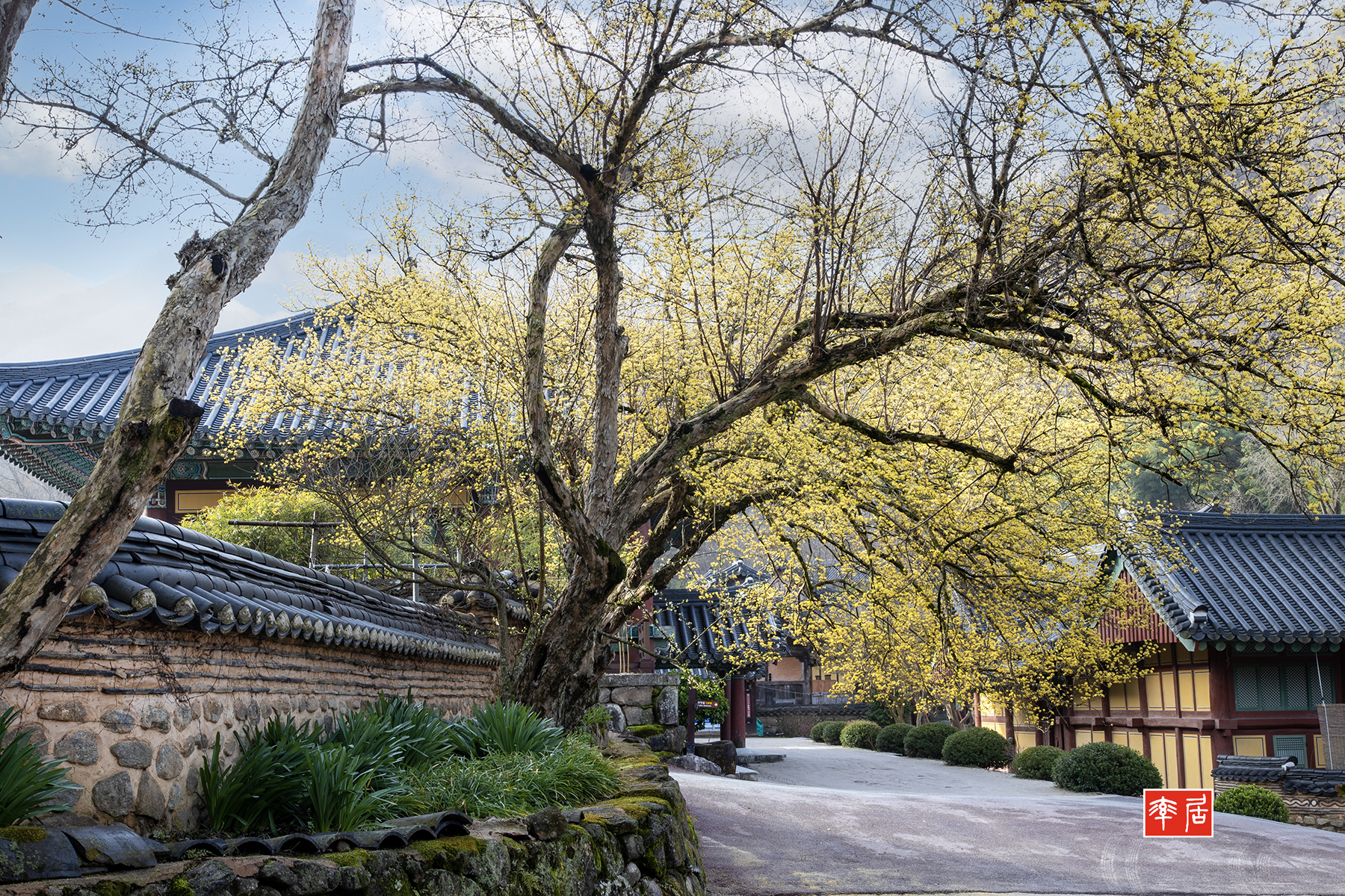 PHOTO BY changickheun | Canon EOS-1D X Mark III | 2024:03:29 07:57:33 | ISO-100 | 1/10 sec | f 16 | 55 mm | EV=0 | ● WIDTH:1800 pixels  HEIGHT:1200 pixels