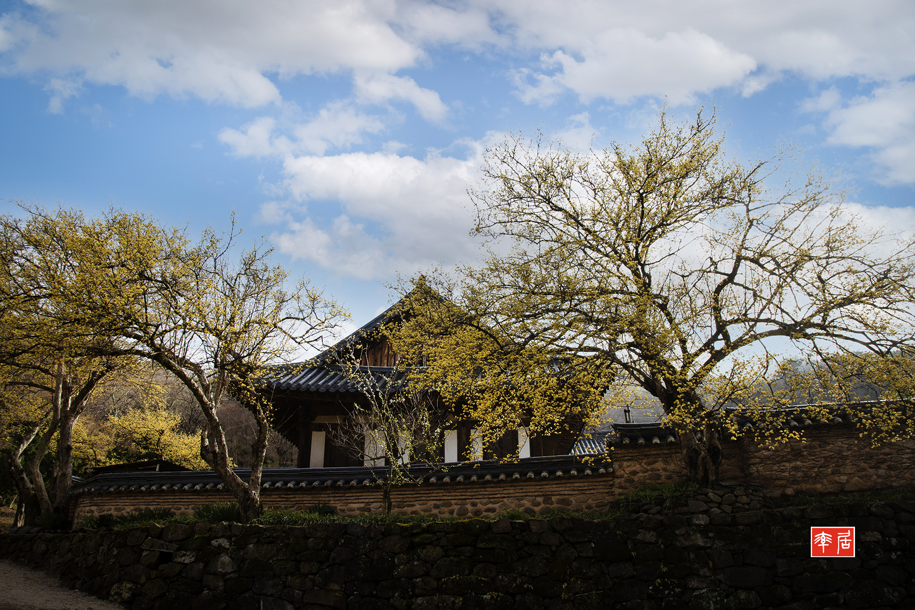 PHOTO BY changickheun | Canon EOS-1D X Mark III | 2024:03:29 08:50:56 | ISO-100 | 1/125 sec | f 9 | 24 mm | EV=0 | ● WIDTH:1800 pixels  HEIGHT:1200 pixels