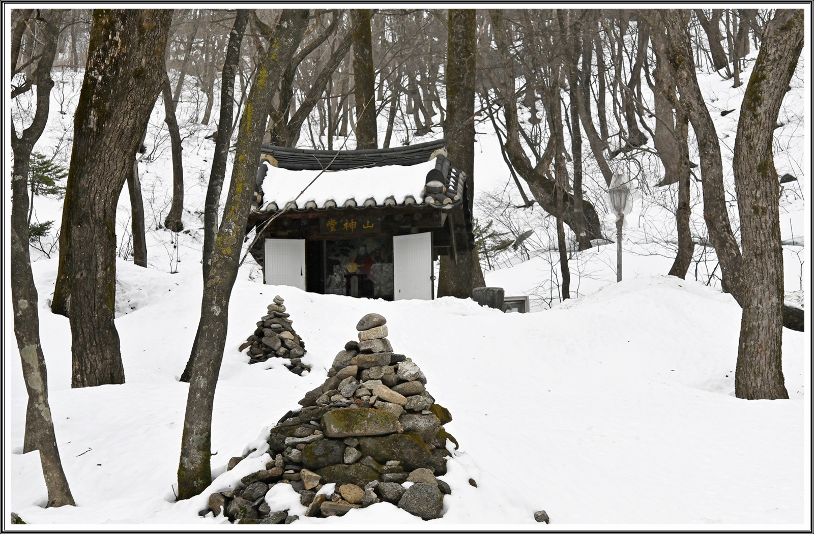 PHOTO BY  | NIKON Z 7_2 | 2024:03:27 21:43:36 | ISO-500 | 1/1250 sec | f 9 | 60 mm | EV=0.3 | ● WIDTH:8256 pixels  HEIGHT:5504 pixels