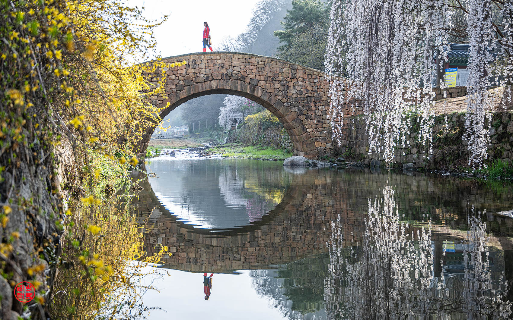 PHOTO BY KKY_CWANG_YEOL | NIKON Z 8 | 2024:03:31 08:15:47 | ISO-200 | 1/500 sec | f 4 | 42 mm | EV=0.3 | ● WIDTH:1700 pixels  HEIGHT:1062 pixels