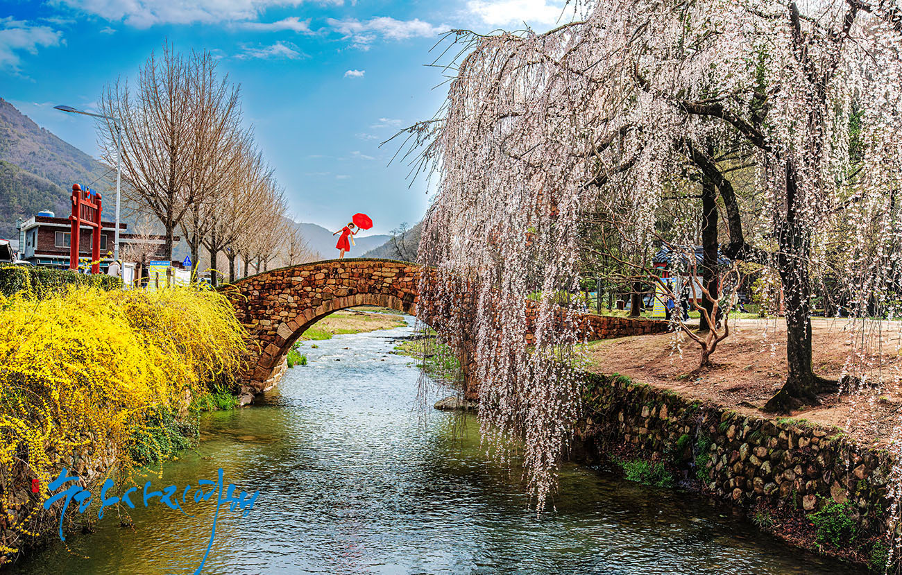 PHOTO BY Park Sang Don | Canon EOS 5D Mark IV | 2024:03:29 10:09:17 | ISO-100 | 1/160 sec | f 11 | 34 mm | EV=0 | ● WIDTH:1300 pixels  HEIGHT:829 pixels