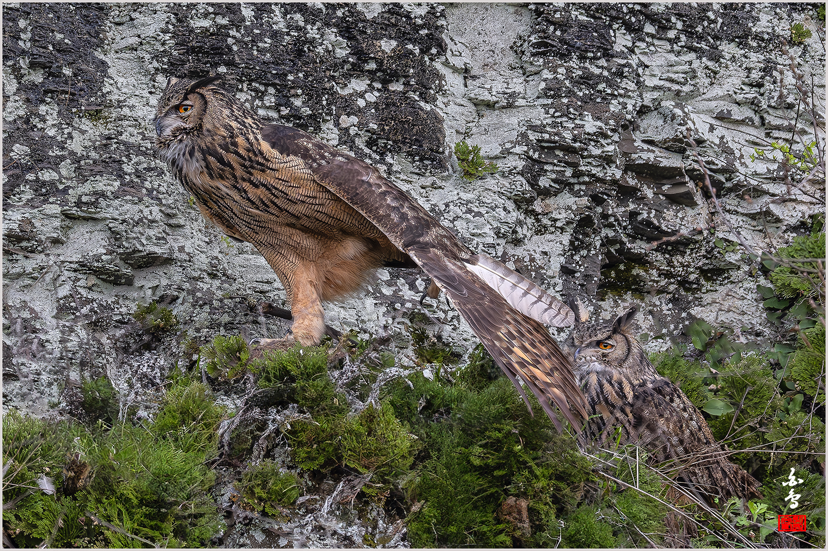 PHOTO BY  | NIKON Z 9 | 2024:03:31 16:59:04 | ISO-3200 | 1/2000 sec | f 5.6 | 840 mm | EV=0 | ● WIDTH:1700 pixels  HEIGHT:1132 pixels