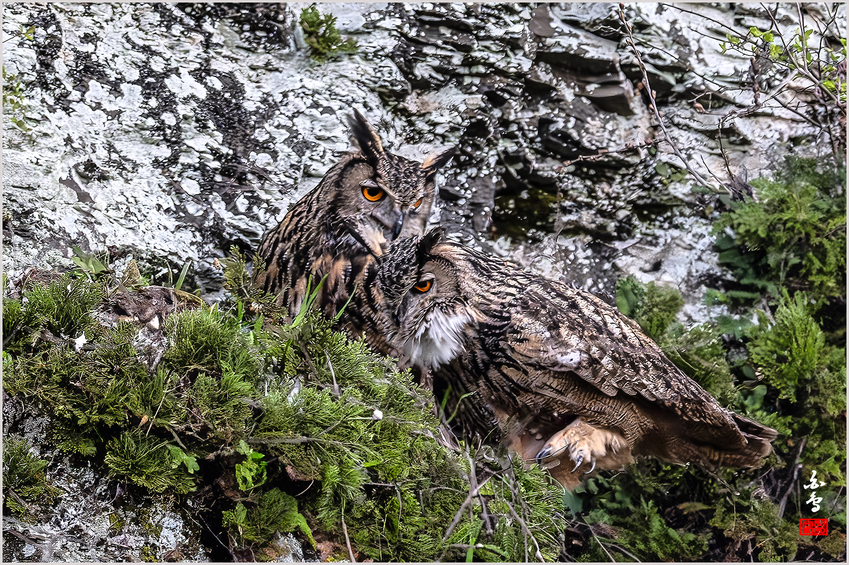 PHOTO BY  | NIKON Z 9 | 2024:03:31 18:12:04 | ISO-8000 | 1/2000 sec | f 5.6 | 840 mm | EV=0 | ● WIDTH:1700 pixels  HEIGHT:1132 pixels