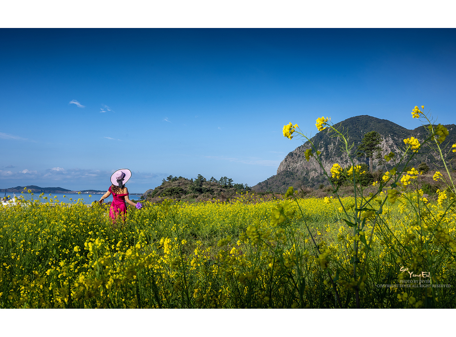 PHOTO BY  | NIKON Z 9 | 2024:03:27 08:14:54 | ISO-100 | 1/250 sec | f 11 | 30.5 mm | EV=0 | ● WIDTH:1600 pixels  HEIGHT:1180 pixels