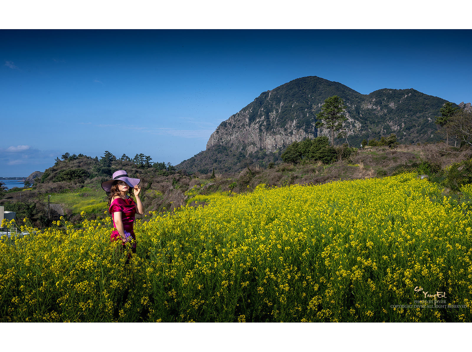 PHOTO BY  | NIKON Z 9 | 2024:03:27 08:16:47 | ISO-100 | 1/250 sec | f 11 | 37 mm | EV=0 | ● WIDTH:1600 pixels  HEIGHT:1195 pixels