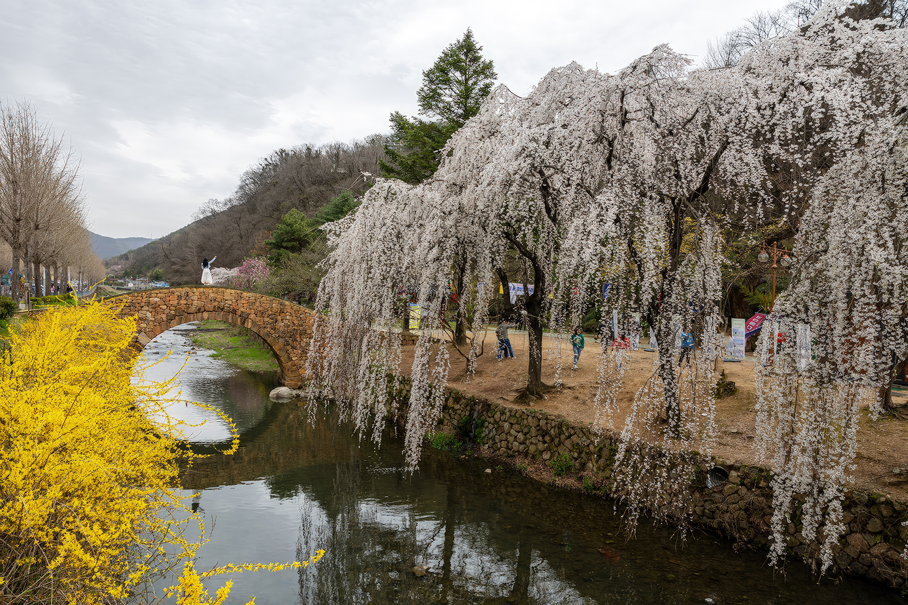 PHOTO BY  | Canon EOS R3 | 2024:03:30 12:28:41 | ISO-200 | 1/250 sec | f 5.6 | 24 mm | EV=0.3 | ● WIDTH:1807 pixels  HEIGHT:1205 pixels