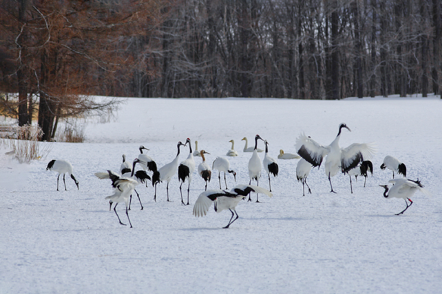 PHOTO BY  | CanonCanon  |  | ISO- |  |  |  | EV=0 | ● WIDTH:  HEIGHT: