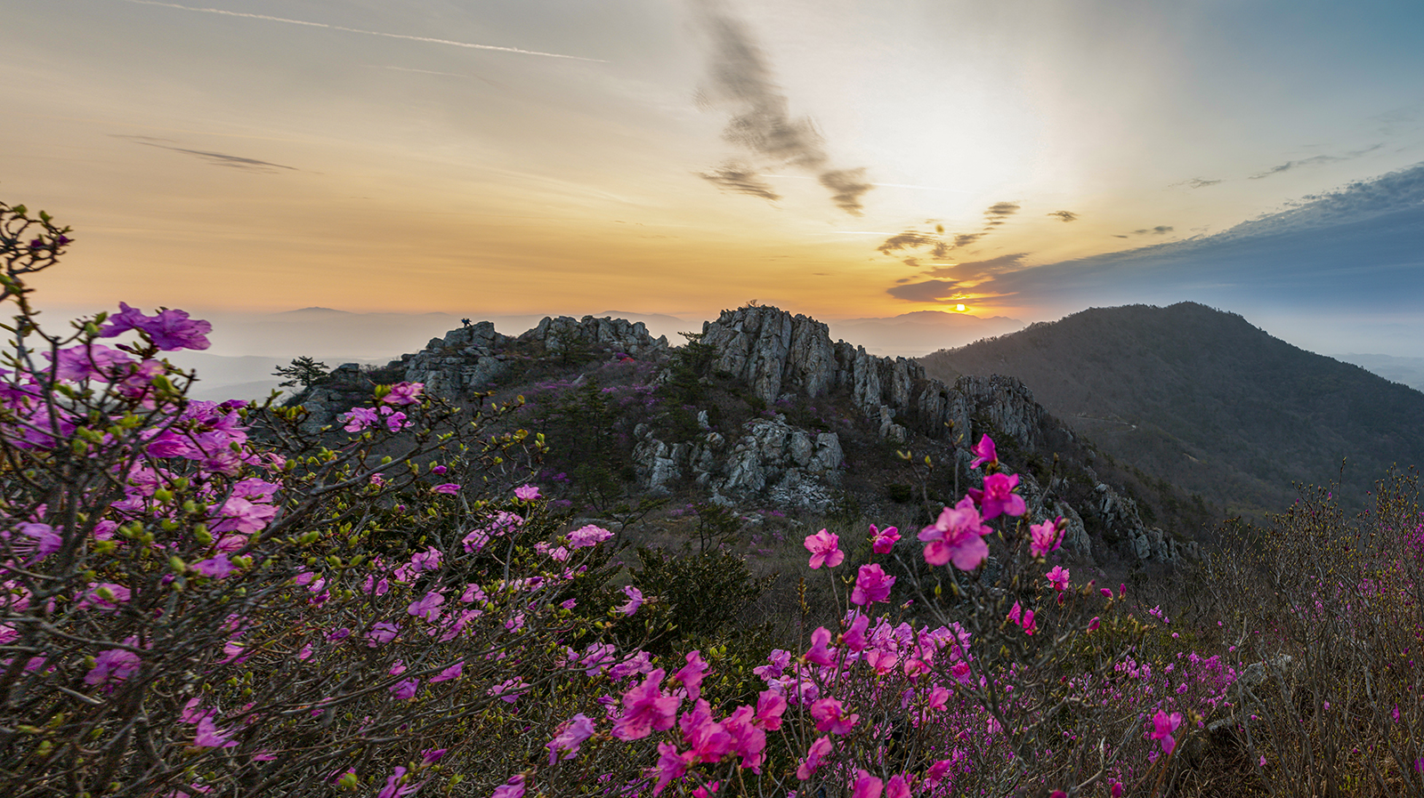 PHOTO BY MINKYUKIM | Canon EOS 5D Mark III | 2024:03:31 06:07:39 | ISO-200 | 1/30 sec | f 8 | 24 mm | EV=0 | ● WIDTH:1600 pixels  HEIGHT:897 pixels