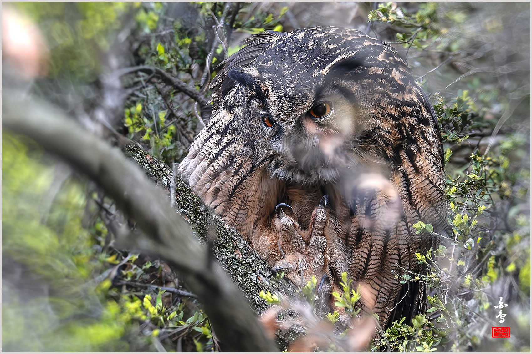 PHOTO BY  | NIKON Z 9 | 2024:04:02 16:44:34 | ISO-2500 | 1/800 sec | f 8 | 1176 mm | EV=-0.3 | ● WIDTH:1700 pixels  HEIGHT:1132 pixels