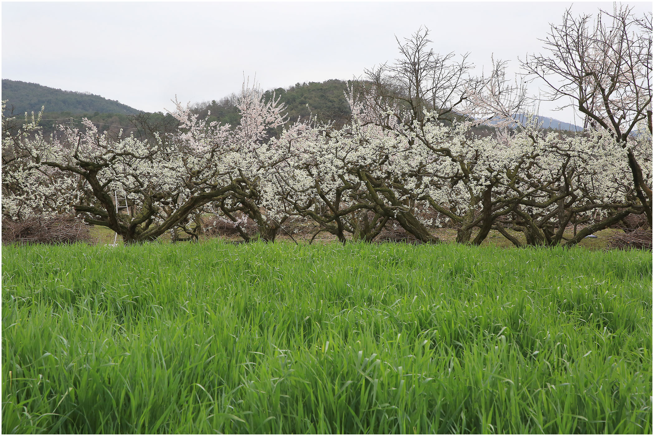   | PHOTO BY : 몰운대/조태열  |