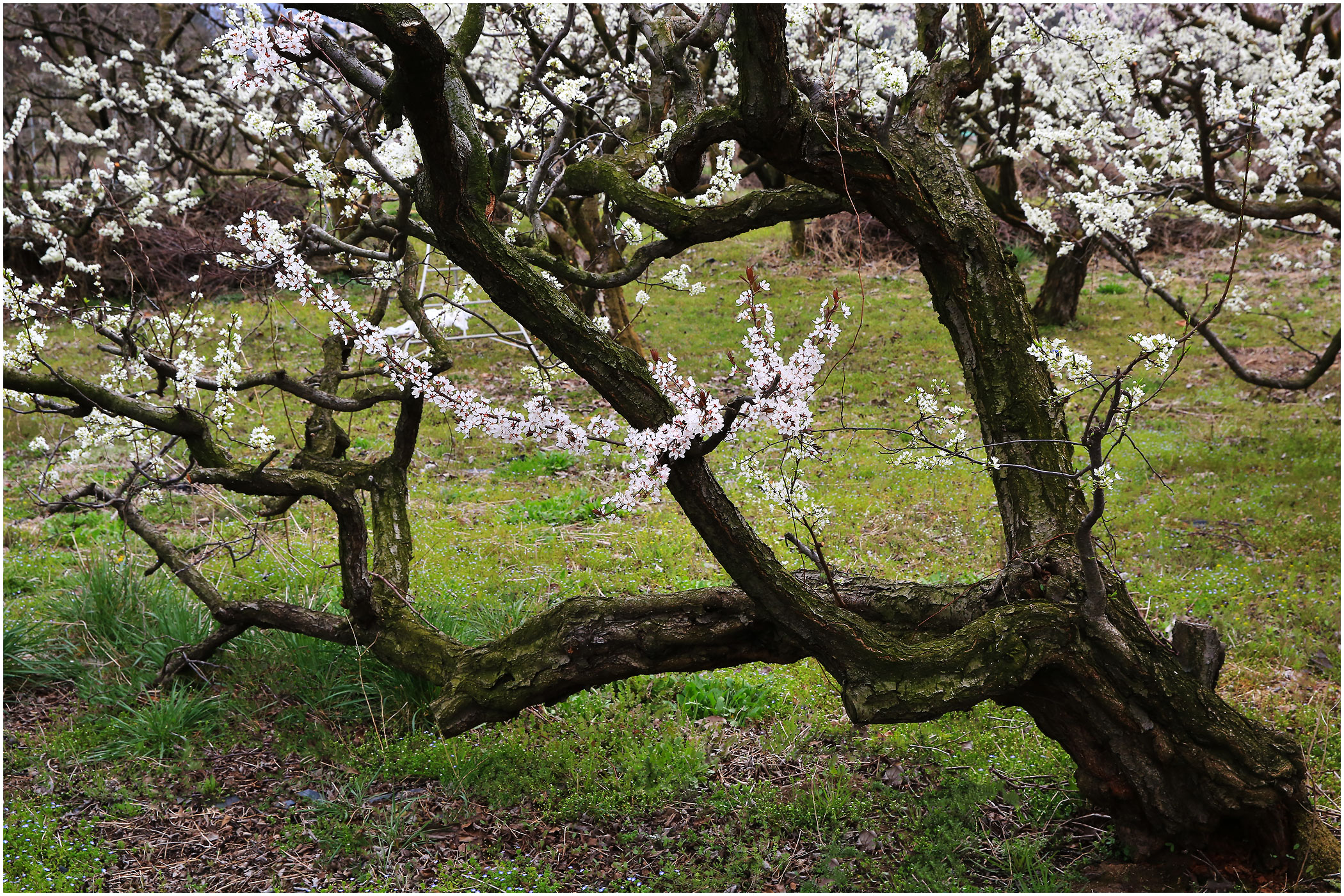   | PHOTO BY : 몰운대/조태열  |