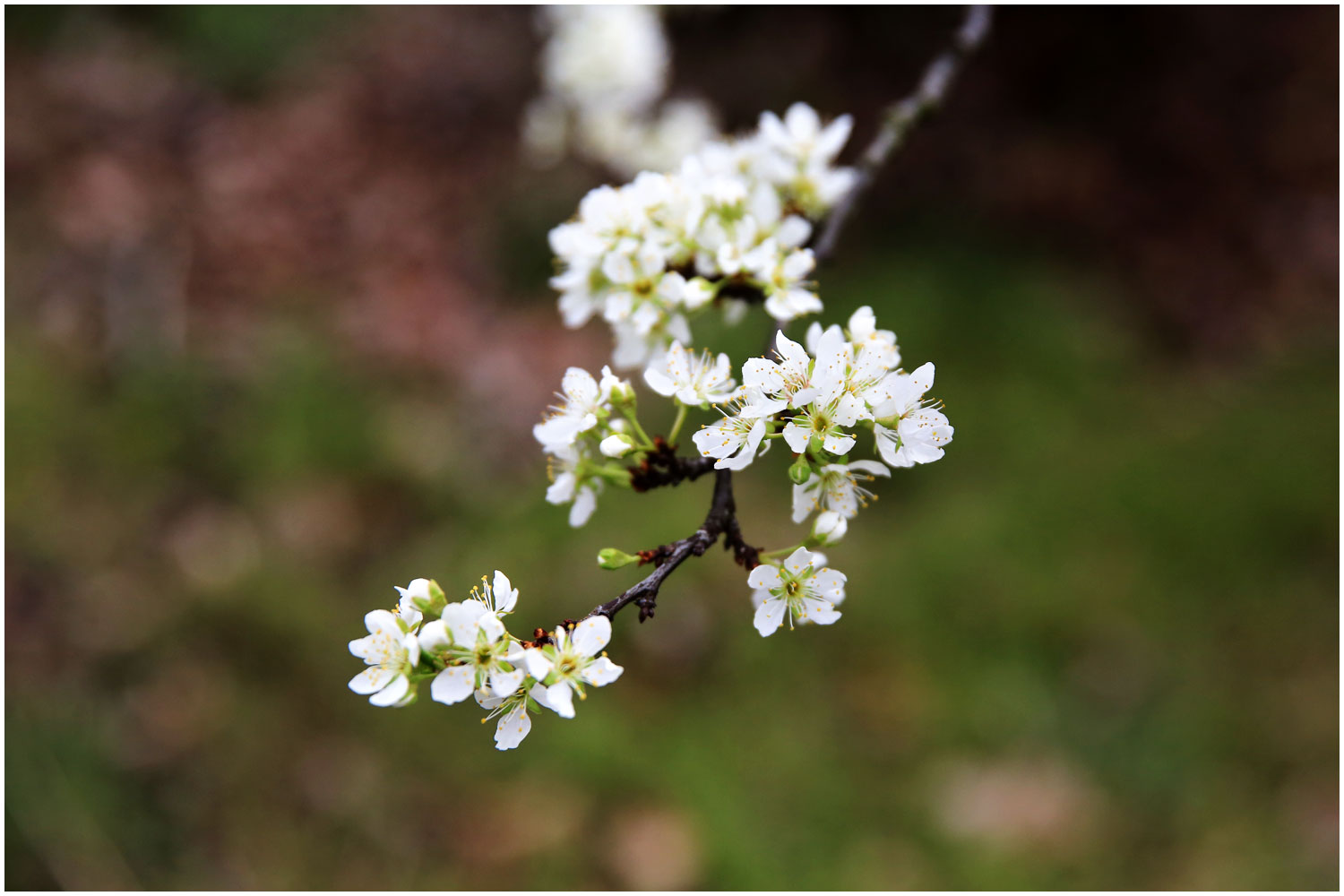   | PHOTO BY : 몰운대/조태열  |