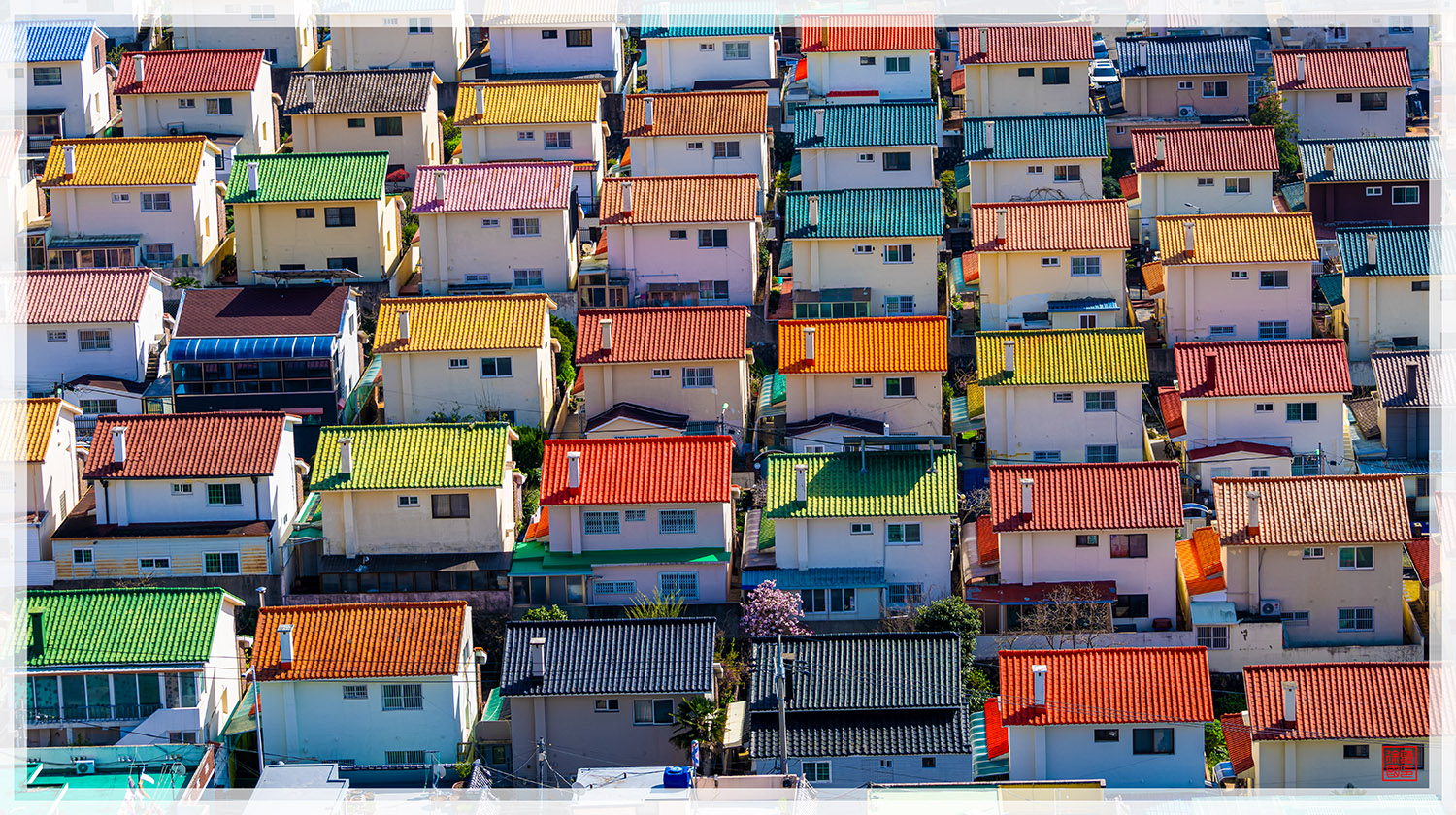 PHOTO BY  | NIKON Z 9 | 2024:04:01 14:55:07 | ISO-450 | 1/800 sec | f 8 | 72 mm | EV=0.3 | ● WIDTH:1500 pixels  HEIGHT:840 pixels