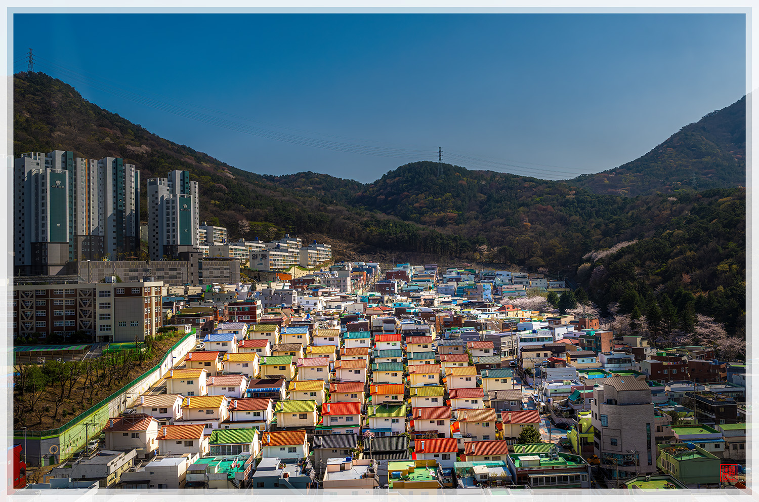 PHOTO BY  | NIKON Z 9 | 2024:04:01 15:24:50 | ISO-200 | 1/500 sec | f 8 | 32 mm | EV=0.3 | ● WIDTH:1500 pixels  HEIGHT:992 pixels