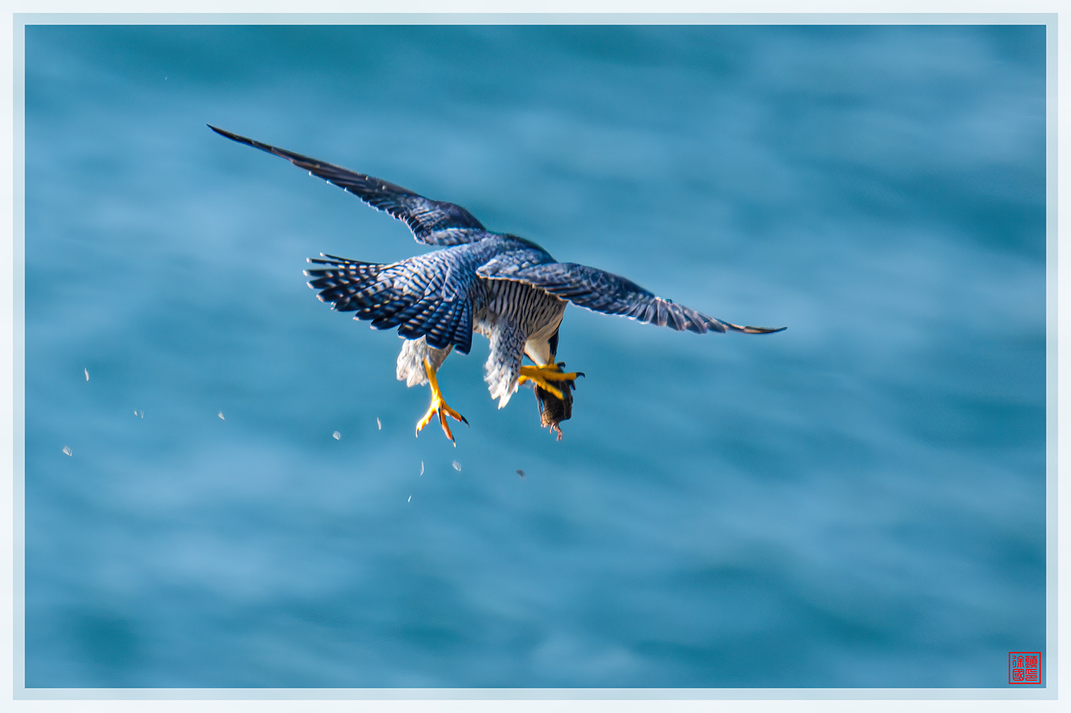 PHOTO BY  | NIKON Z 9 | 2024:04:01 07:31:33 | ISO-1400 | 1/1600 sec | f 6.3 | 600 mm | EV=0.3 | ● WIDTH:1500 pixels  HEIGHT:999 pixels