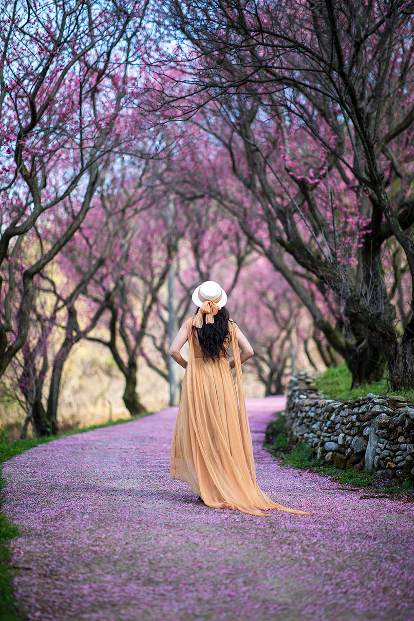 PHOTO BY KMS | Canon EOS 5D Mark IV | 2024:03:27 09:34:01 | ISO-50 | 1/2000 sec | f 1.4 | 85 mm | EV=0 | ● WIDTH:850 pixels  HEIGHT:1275 pixels