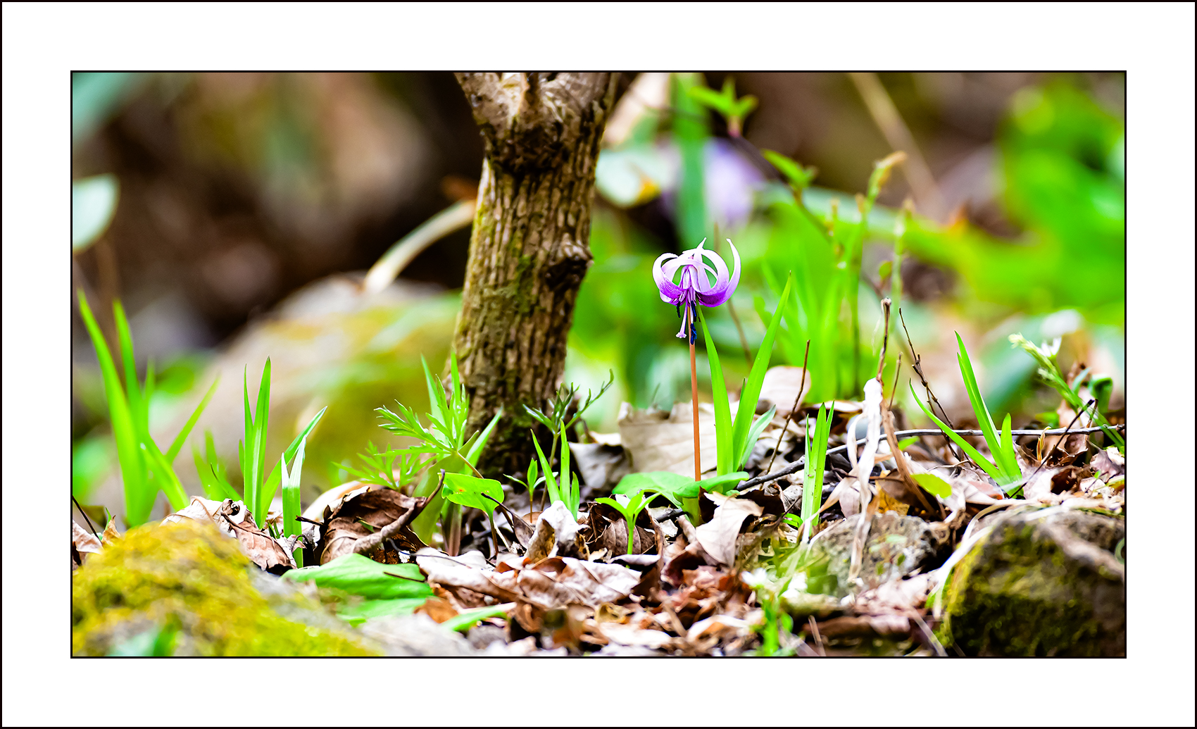   | PHOTO BY : 삿갓/정봉식  |