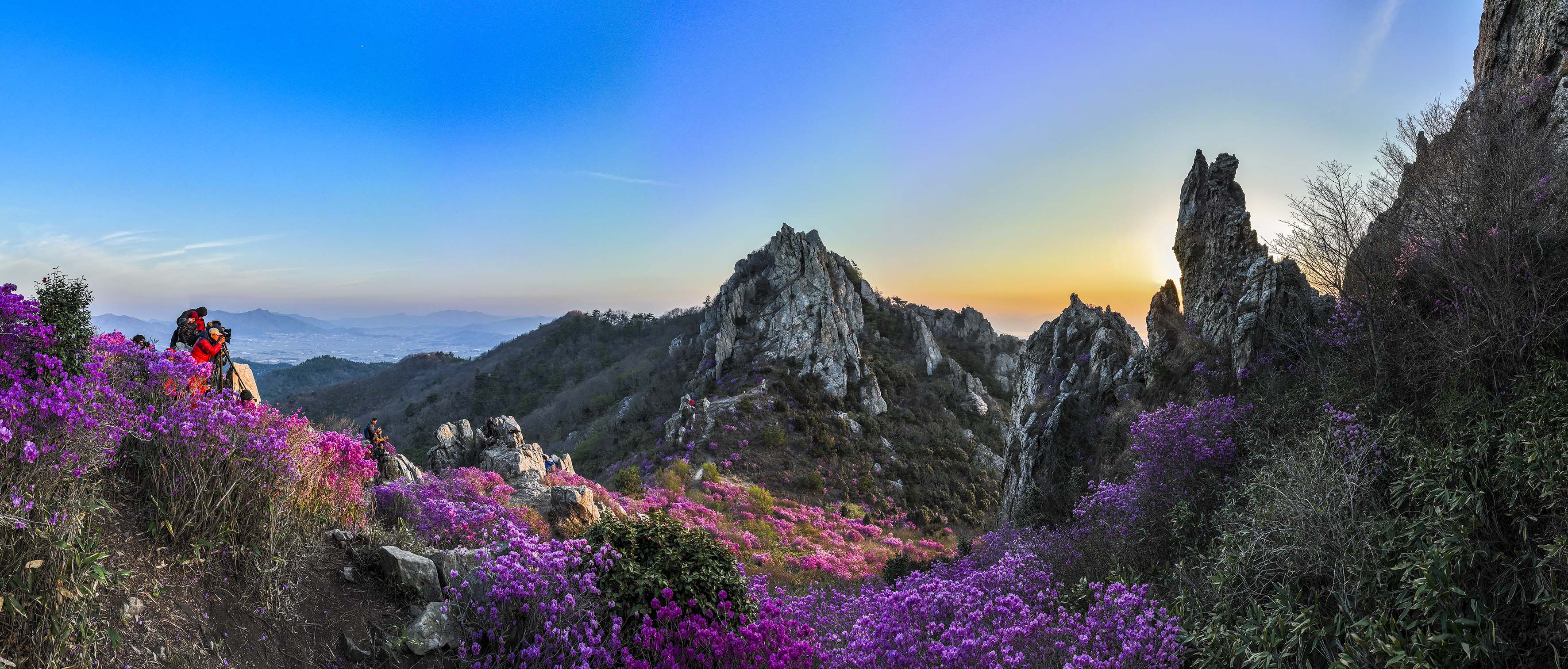 PHOTO BY  | L2D-20c | 2023:04:03 06:37:58 | ISO-200 | 1/30 sec | f 7.1 | 12.29 mm | EV=-0.7 | ● WIDTH:3543 pixels  HEIGHT:1513 pixels