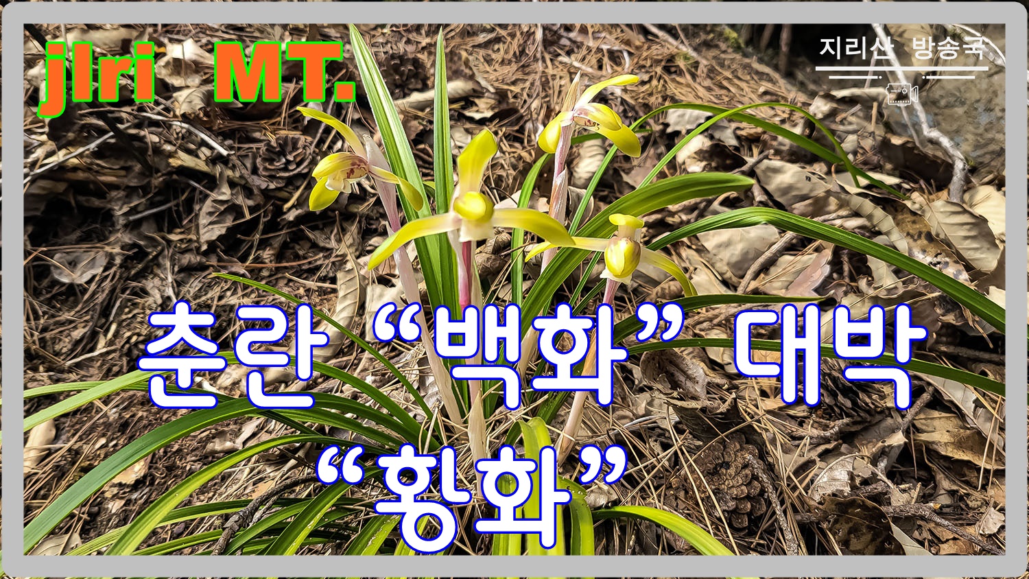 PHOTO BY  | SM-N981N | 2024:03:22 10:32:49 | ISO-40 | 1/400 sec | f 1.8 | 5.4 mm | EV=0 | ● WIDTH:1500 pixels  HEIGHT:844 pixels