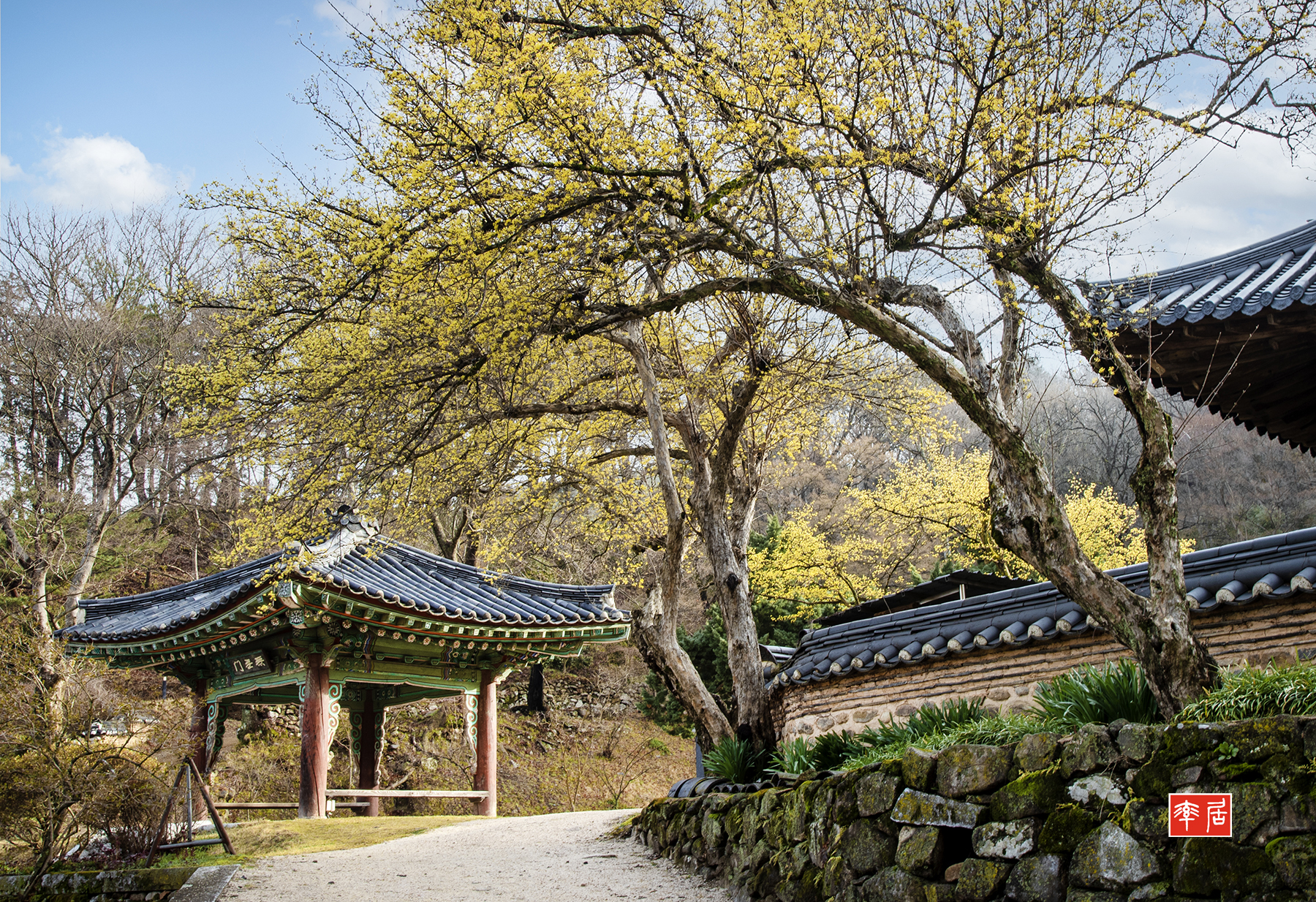 PHOTO BY changickheun | Canon EOS-1D X Mark III | 2024:03:29 07:53:24 | ISO-100 | 1/13 sec | f 16 | 35 mm | EV=0 | ● WIDTH:1800 pixels  HEIGHT:1234 pixels