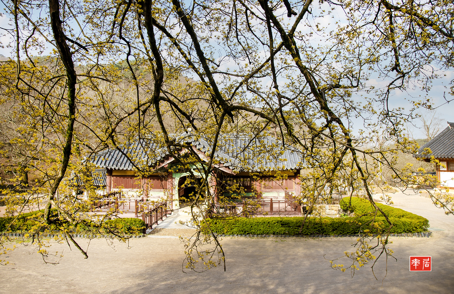 PHOTO BY changickheun | Canon EOS-1D X Mark III | 2024:03:29 08:31:41 | ISO-100 | 1/160 sec | f 8 | 24 mm | EV=0 | ● WIDTH:1800 pixels  HEIGHT:1168 pixels