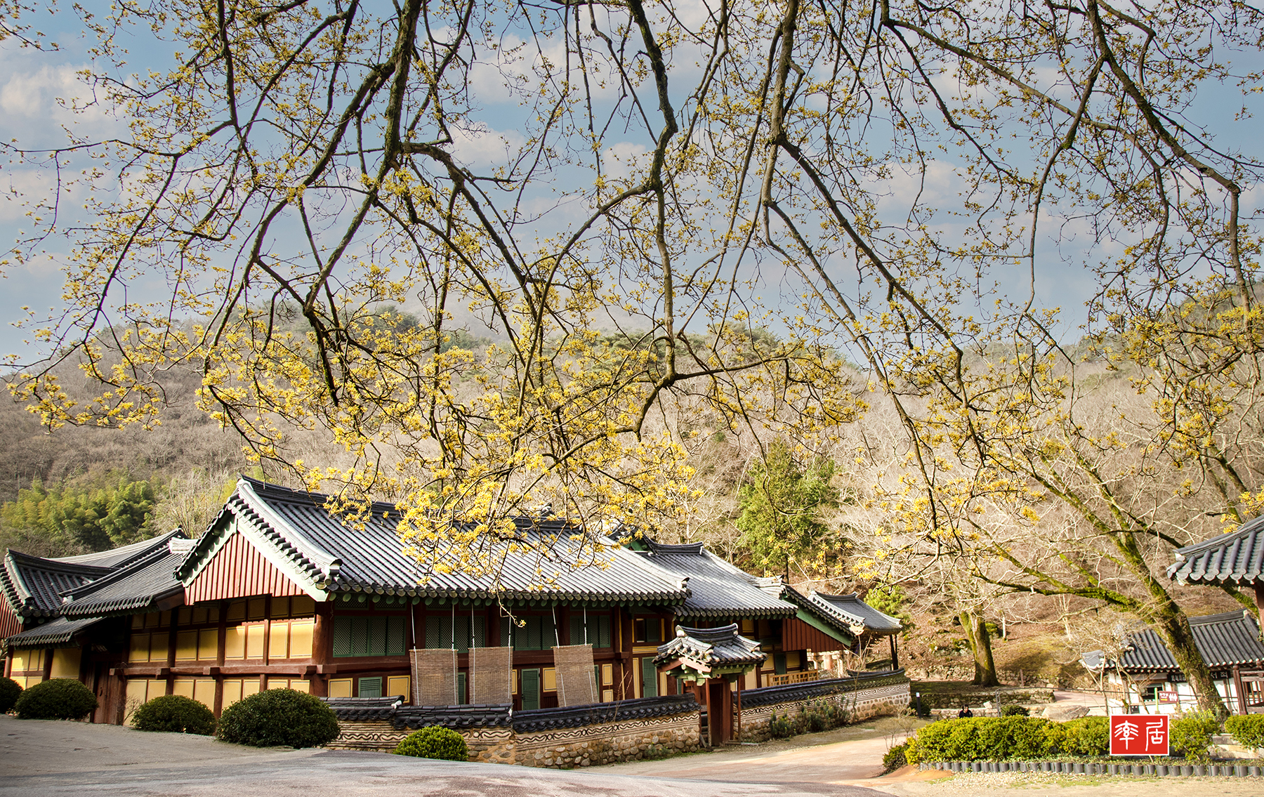 PHOTO BY changickheun | Canon EOS-1D X Mark III | 2024:03:29 08:26:58 | ISO-100 | 1/125 sec | f 8 | 24 mm | EV=0 | ● WIDTH:1800 pixels  HEIGHT:1135 pixels