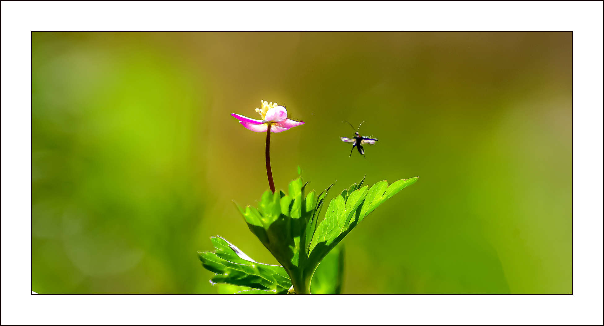   | PHOTO BY : 삿갓/정봉식  |