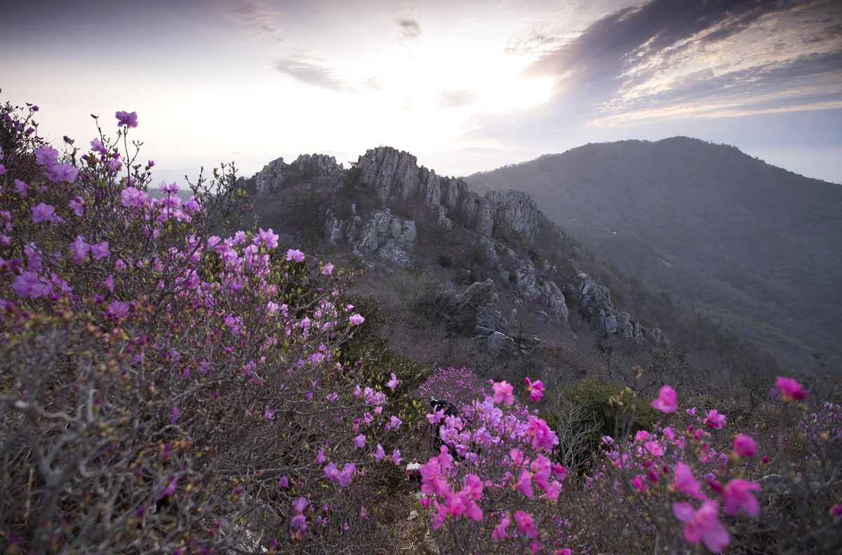 PHOTO BY  | Canon EOS 5D Mark III | 2024:03:31 05:47:07 | ISO-320 | 1/160 sec | f 4.5 | 16 mm | EV=0 | ● WIDTH:1200 pixels  HEIGHT:792 pixels