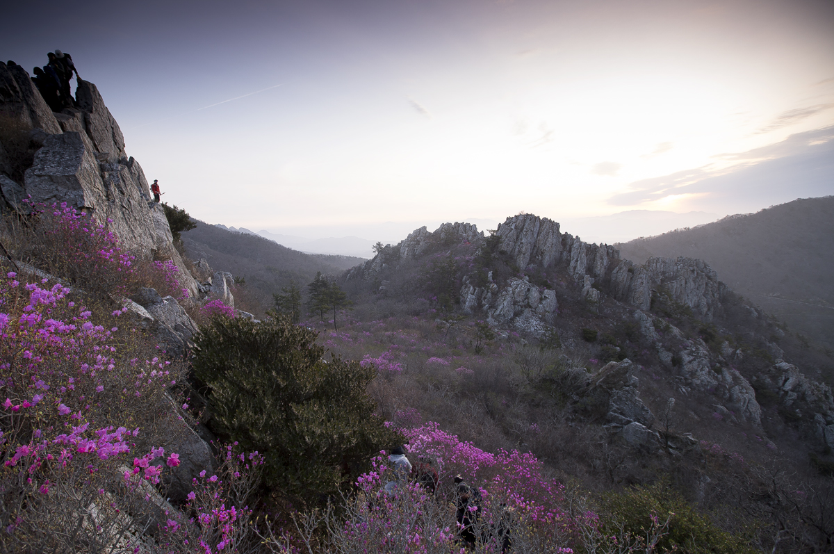 PHOTO BY  | Canon EOS 5D Mark III | 2024:03:31 05:34:55 | ISO-320 | 1/125 sec | f 4.5 | 16 mm | EV=1 | ● WIDTH:1200 pixels  HEIGHT:797 pixels