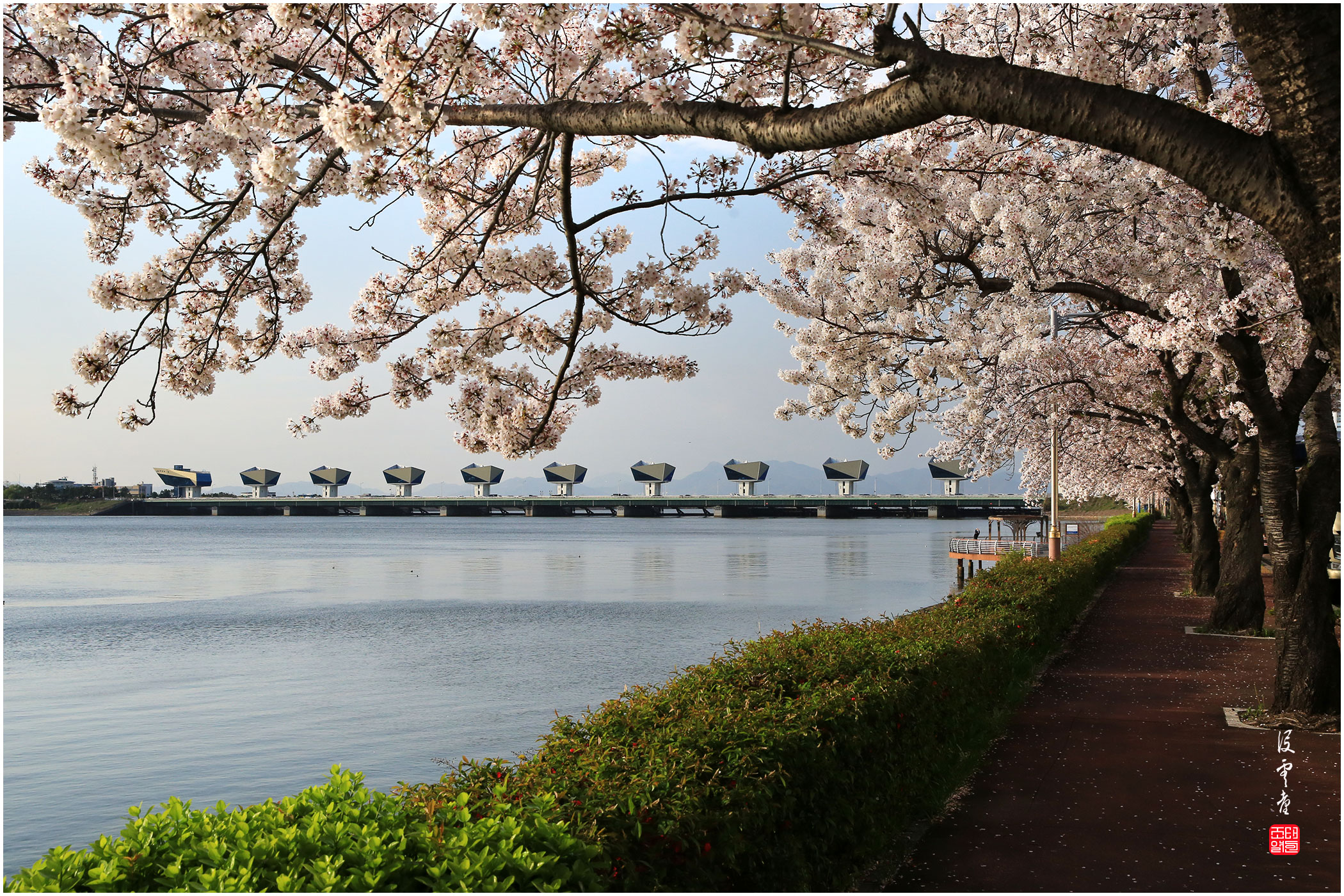 | PHOTO BY : 몰운대/조태열  |