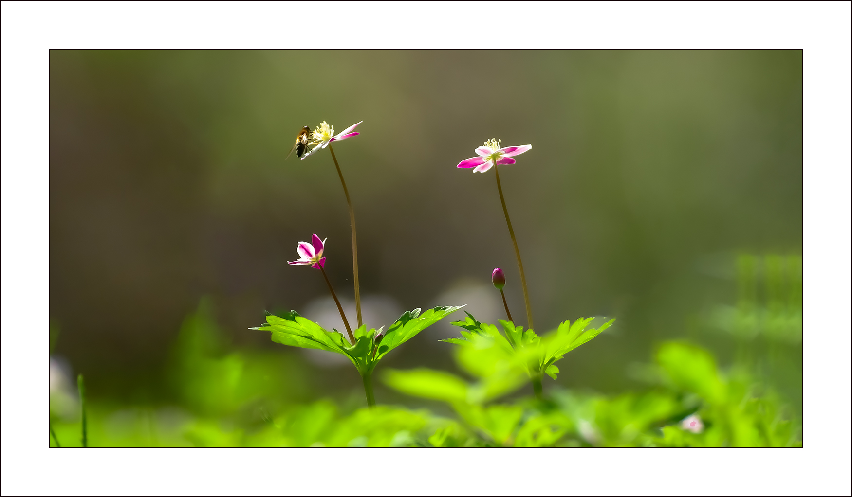   | PHOTO BY : 삿갓/정봉식  |