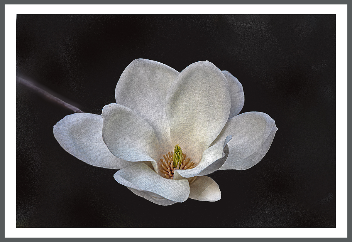 PHOTO BY  | ILCE-6500 | 2024:04:05 17:10:00 | ISO-640 | 1/60 sec | f 8 | 116.3 mm | EV=-0.5 | ● WIDTH:1200 pixels  HEIGHT:824 pixels