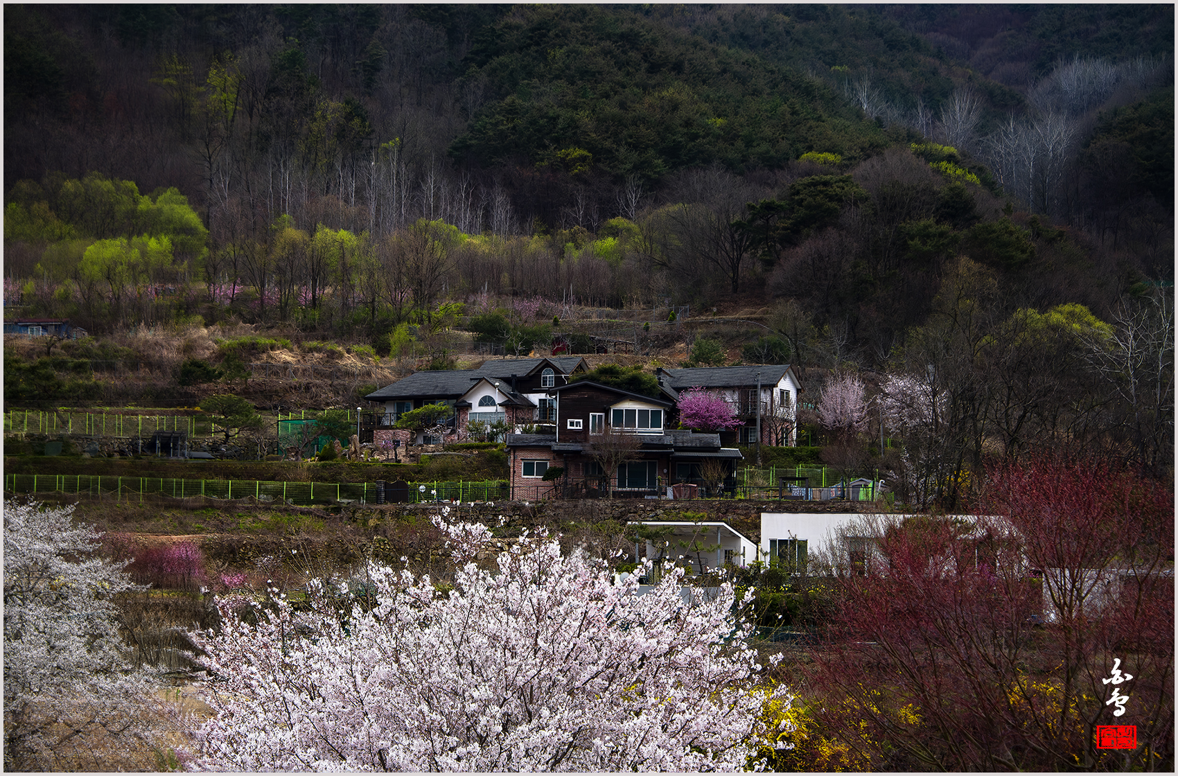 PHOTO BY SINSUKHEE | NIKON D850 | 2024:04:04 15:49:02 | ISO-640 | 1/3200 sec | f 6.3 | 100 mm | EV=-1 | ● WIDTH:1700 pixels  HEIGHT:1120 pixels