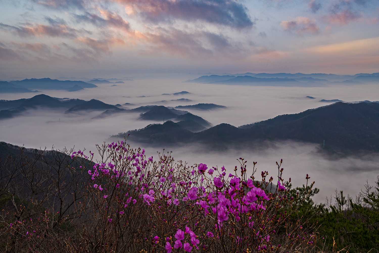 PHOTO BY  | NIKON Z 6_2 | 2024:04:06 07:24:21 | ISO-200 | 1/60 sec | f 16 | 27 mm | EV=0.3 | ● WIDTH:1500 pixels  HEIGHT:1000 pixels