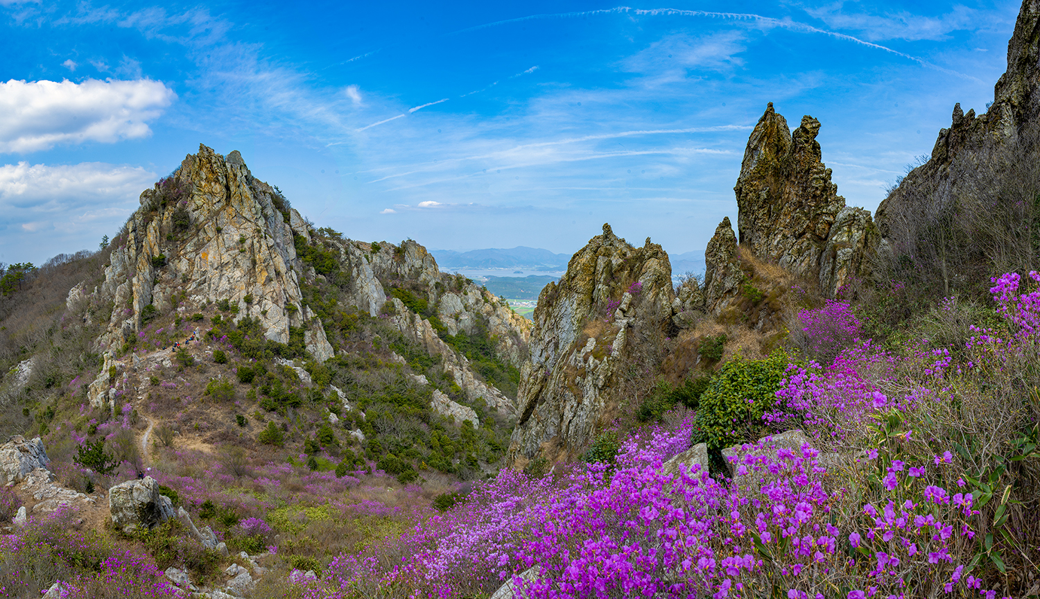 PHOTO BY KIMSIHWAN | NIKON D850 | 2024:04:05 14:46:37 | ISO-64 | 1/40 sec | f 16 | 25 mm | EV=0 | ● WIDTH:1500 pixels  HEIGHT:864 pixels