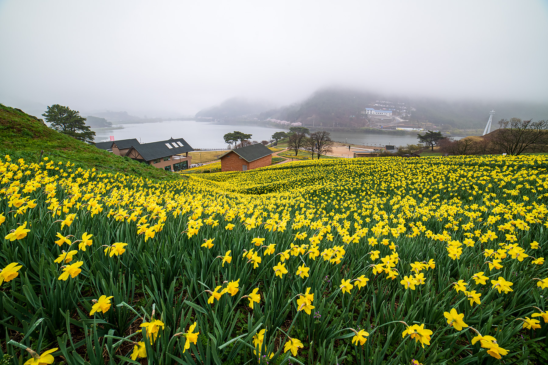 PHOTO BY  | NIKON D850 | 2024:04:04 07:27:19 | ISO-200 | 1/15 sec | f 11 | 14 mm | EV=0 | ● WIDTH:1800 pixels  HEIGHT:1200 pixels