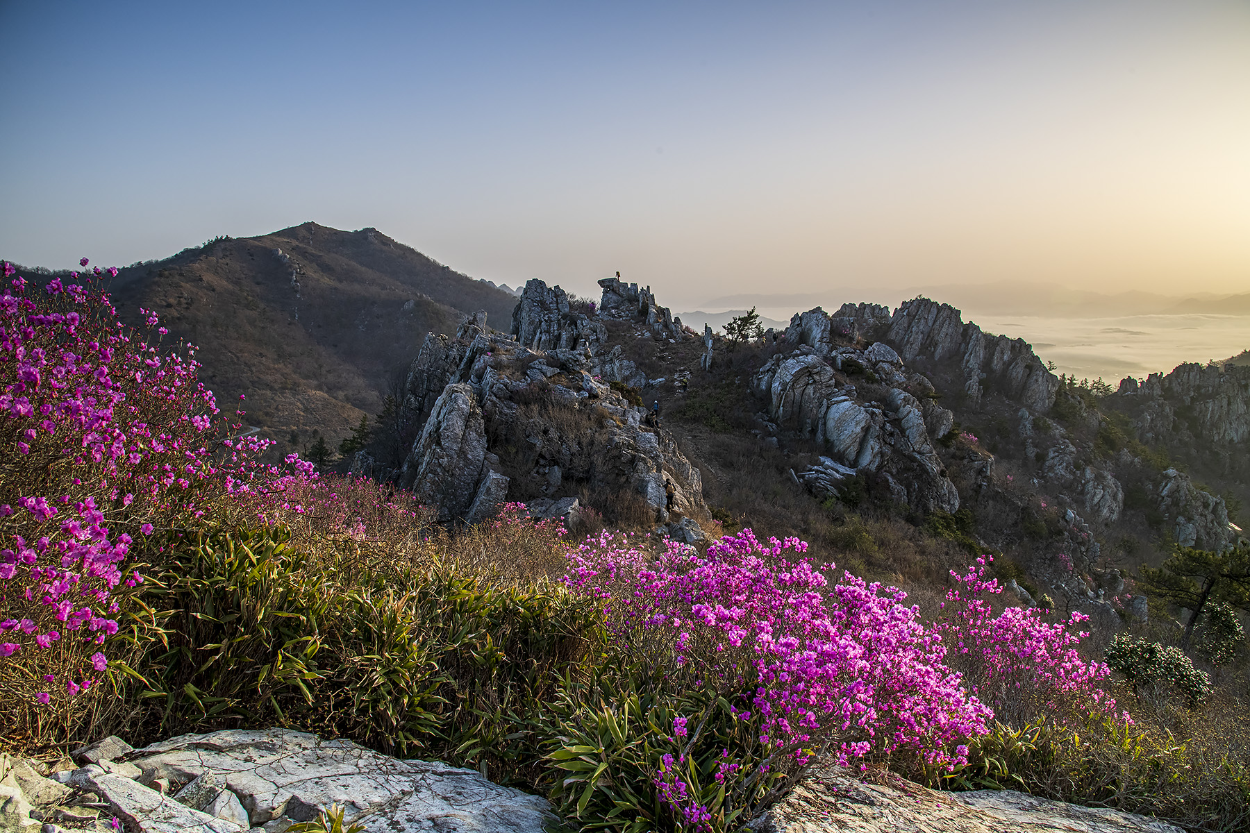 PHOTO BY  | NIKON D850 | 2024:03:30 06:54:50 | ISO-400 | 1/50 sec | f 10 | 24 mm | EV=0 | ● WIDTH:1800 pixels  HEIGHT:1200 pixels