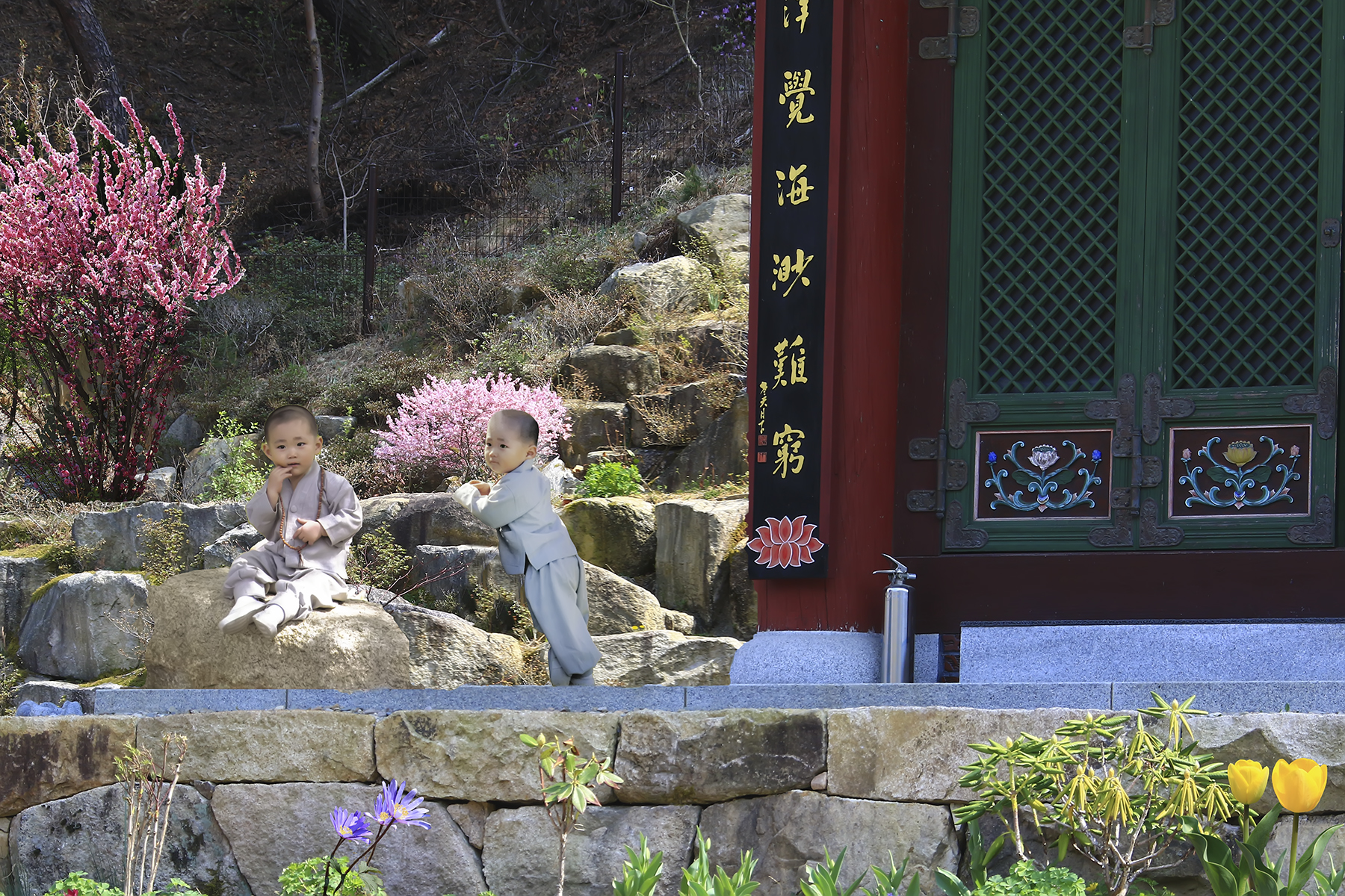 PHOTO BY HNalim | Canon EOS 7D Mark II | 2024:04:04 17:23:59 | ISO-1000 | 1/500 sec | f 8 | 200 mm | EV=0 | ● WIDTH:1800 pixels  HEIGHT:1200 pixels