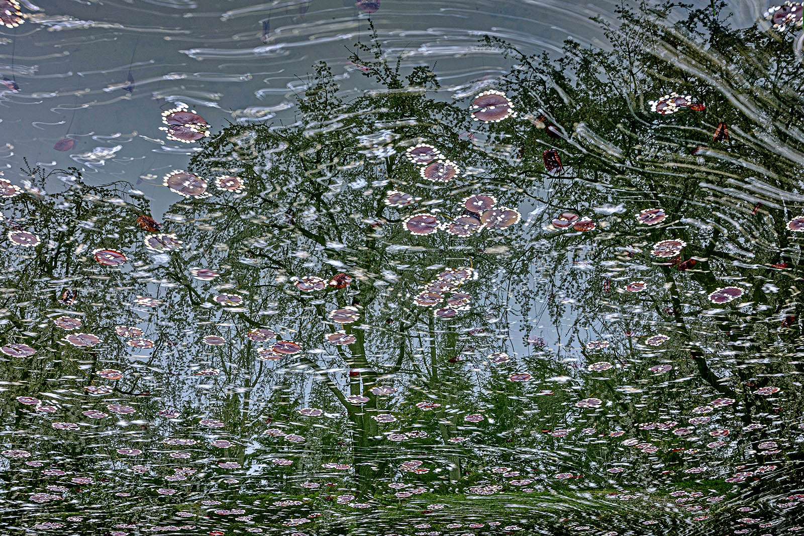 PHOTO BY jps | Canon EOS R6 | 2024:04:08 16:12:28 | ISO-100 | 135/1 sec | f 29 | 35 mm | EV=0 | ● WIDTH:1600 pixels  HEIGHT:1067 pixels