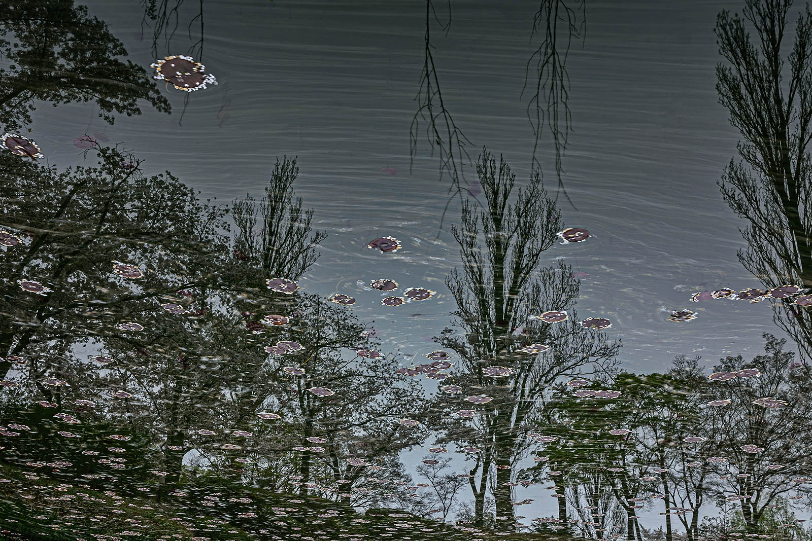 PHOTO BY jps | Canon EOS R6 | 2024:04:08 16:25:30 | ISO-100 | 195/1 sec | f 29 | 35 mm | EV=0 | ● WIDTH:1600 pixels  HEIGHT:1067 pixels