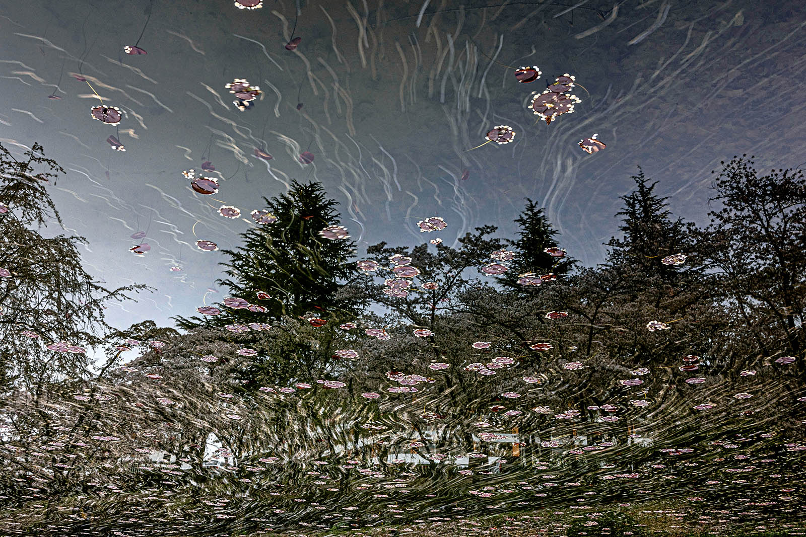 PHOTO BY jps | Canon EOS R6 | 2024:04:08 16:46:51 | ISO-100 | 75/1 sec | f 32 | 35 mm | EV=0 | ● WIDTH:1600 pixels  HEIGHT:1067 pixels