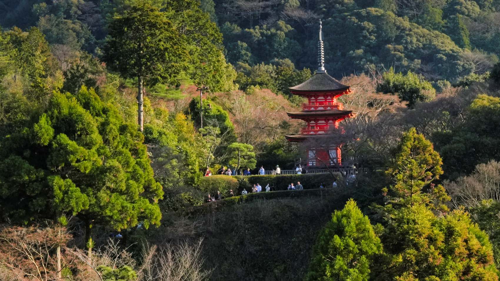 PHOTO BY  | ILCE-7RM5 | 2024:03:29 16:55:57 | ISO-640 | 1/80 sec | f 18 | 70 mm | EV=0 | ● WIDTH:1700 pixels  HEIGHT:956 pixels