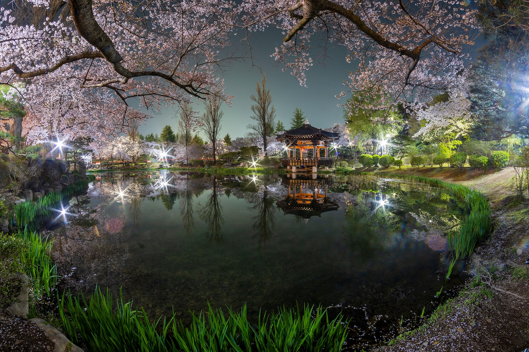   | PHOTO BY : 조현래  |