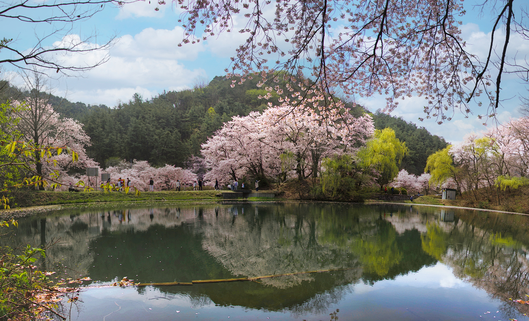 PHOTO BY JAICK | Canon EOS 5D Mark IV | 2024:04:10 11:08:35 | ISO-100 | 1/60 sec | f 11 | 24 mm | EV=0 | ● WIDTH:1850 pixels  HEIGHT:1234 pixels