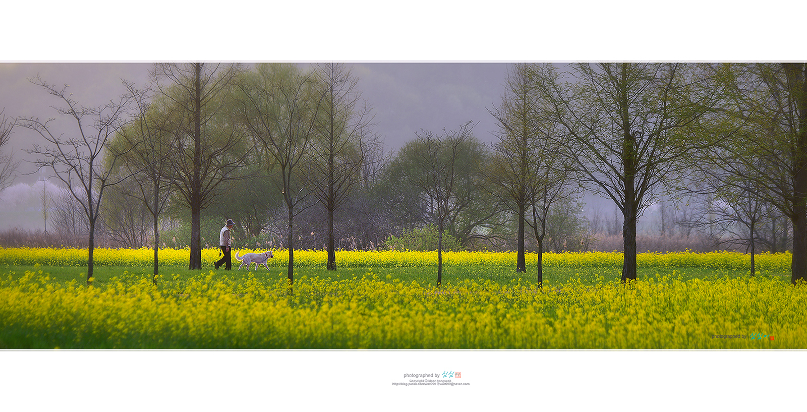 PHOTO BY Mhs | NIKON D810 | 2024:04:06 18:44:41 | ISO-80 | 1/160 sec | f 6.3 | 260 mm | EV=-0.3 | ● WIDTH:1600 pixels  HEIGHT:817 pixels