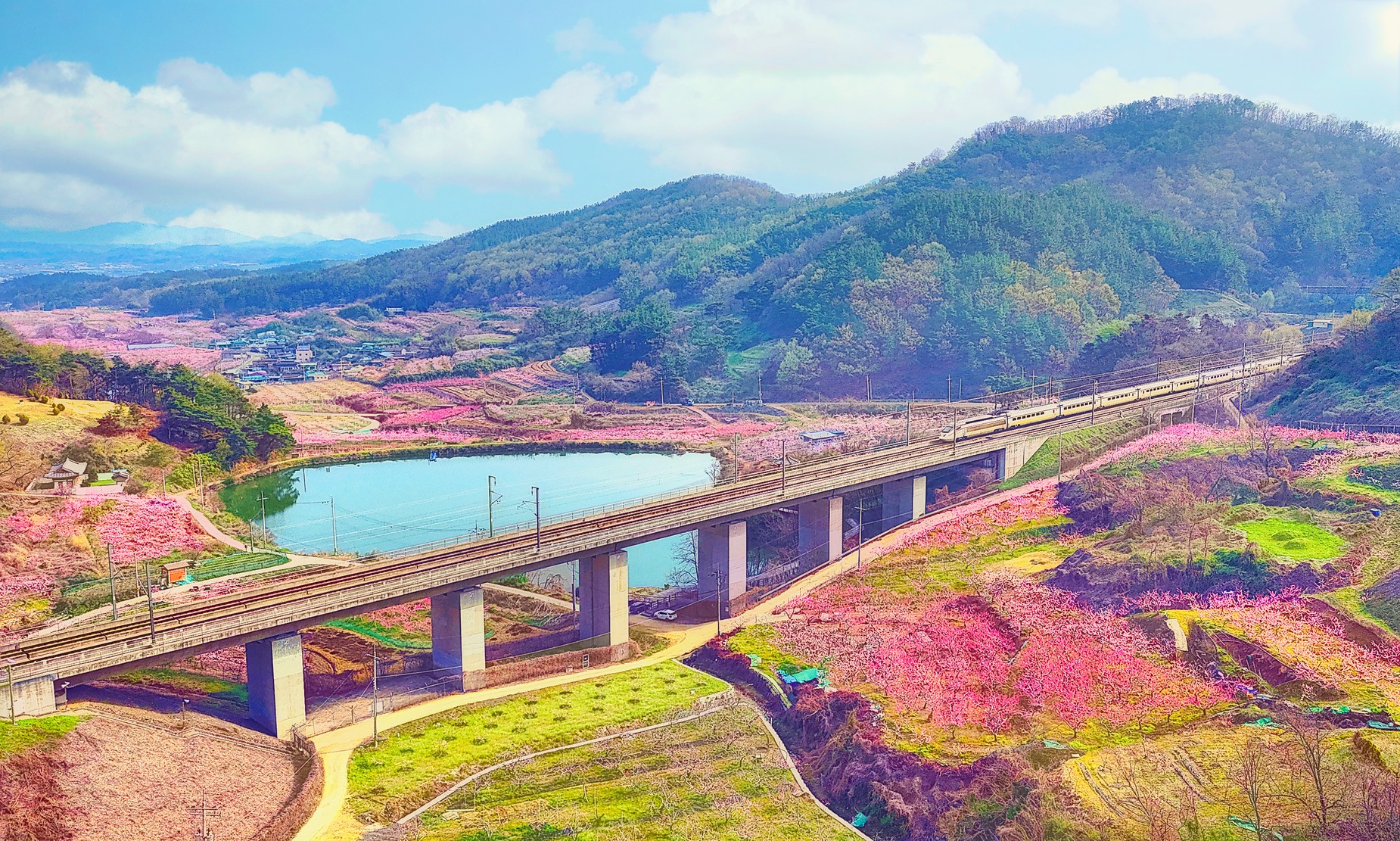 PHOTO BY  | FC8282 | 2024:04:08 09:12:26 | ISO-120 | 1/4000 sec | f 1.7 | 6.72 mm | EV=429496729.3 | ● WIDTH:1850 pixels  HEIGHT:1111 pixels